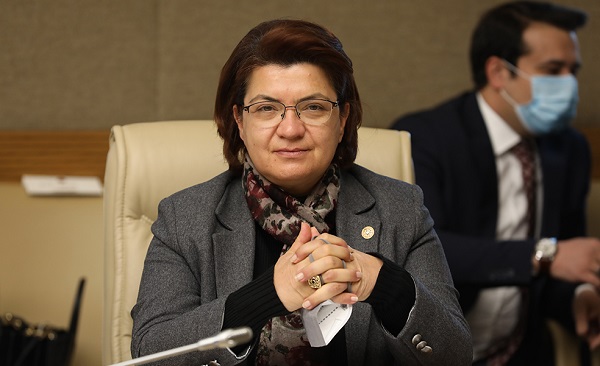 CHP Kadına Şiddetin Mecliste Araştırılmasını İstiyor